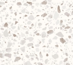 Charlotte Terrazzo FLoor Polishing