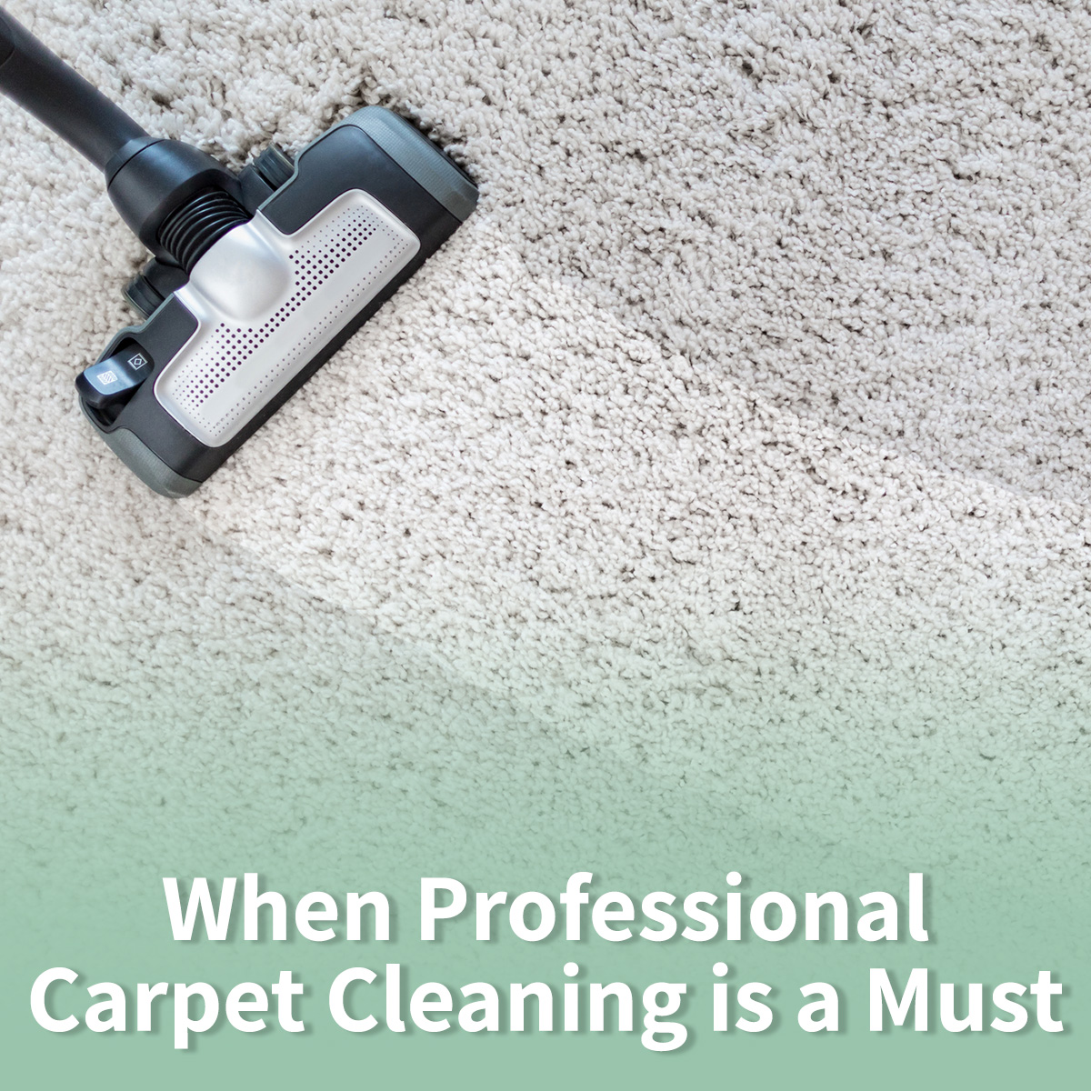 When Professional Carpet Cleaning is a Must