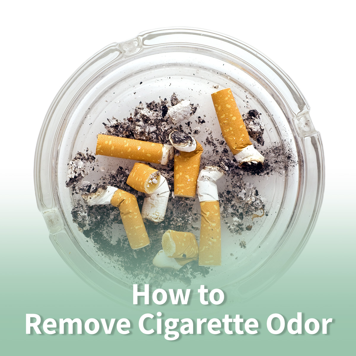 How to Remove Cigarette Odor From Interior Spaces