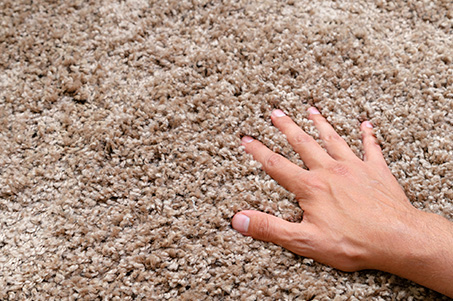 Carpet Care Resources