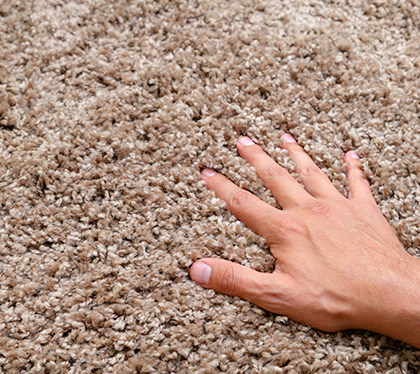 Carpet Care Resources